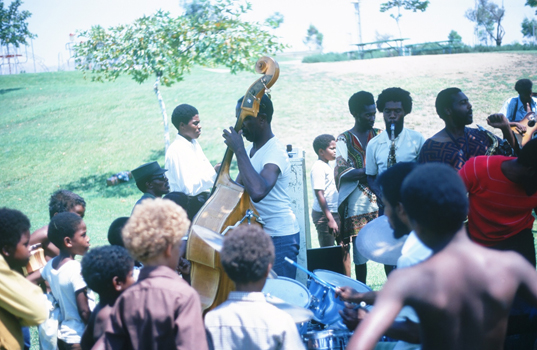 Pan Afrikan Peoples Arkestra at Borwell Park